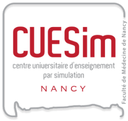 logo cuesim